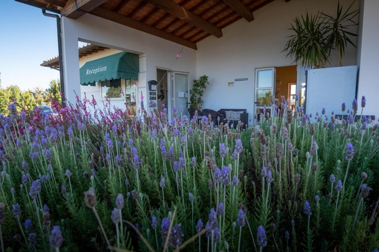 Aparthotel Residenza Principina Principina Terra Exterior foto